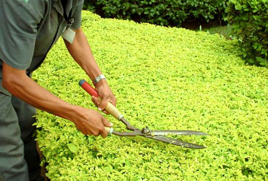 Equipamentos de jardinagem