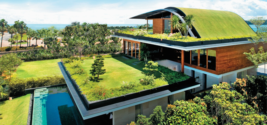 Invista num telhado verde e modernize a construção da casa