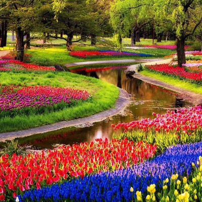 Jardim de flores
