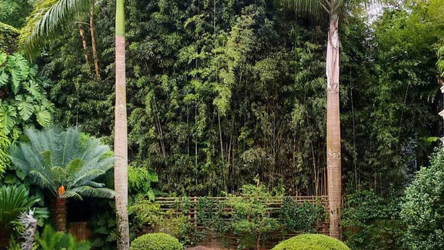 Jardinagem