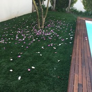 Jardins Tesouro - Construção E Manutenção De Jardins Lda.