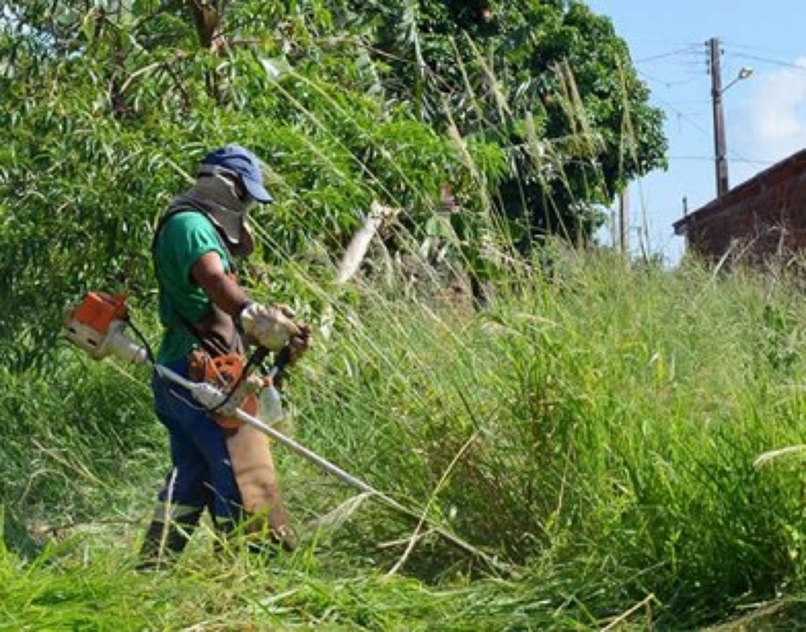 Tudo tipo de orçamentos grátis  na área
