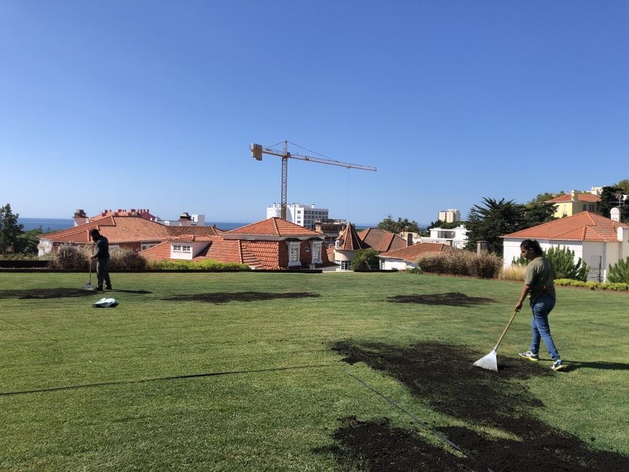 Espalhamento de terra em jardim