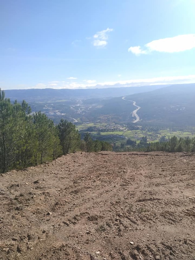 Limpeza de Terreno