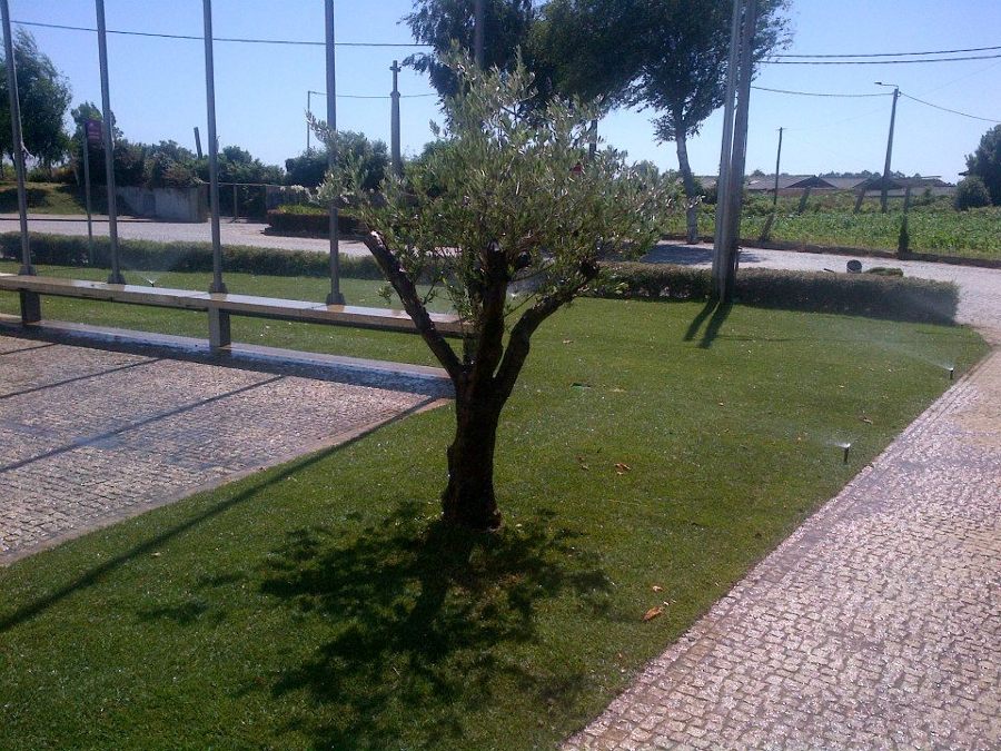 Remodelação de jardim