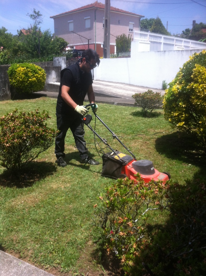 Rapid Service