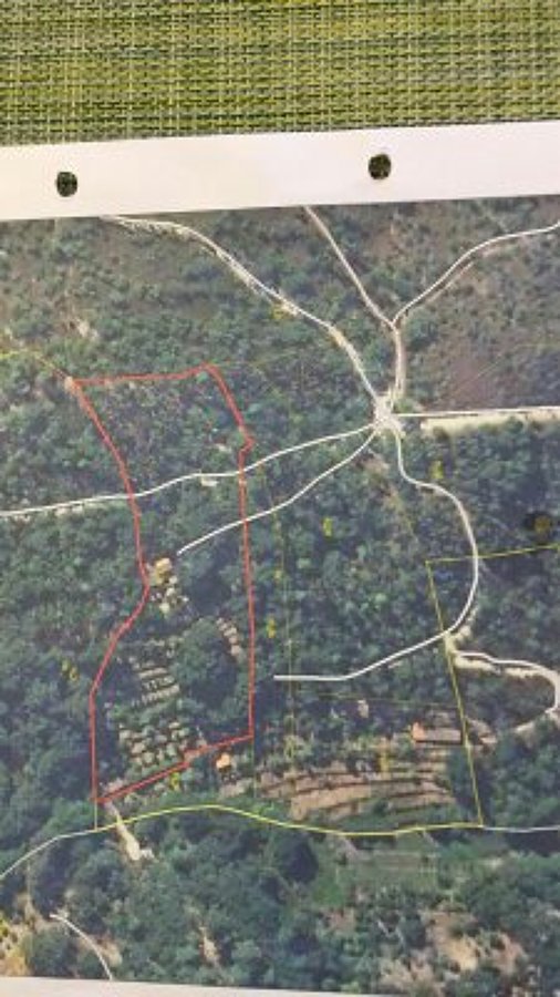Limpeza de terrenos