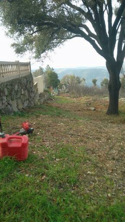 Limpeza de terrenos