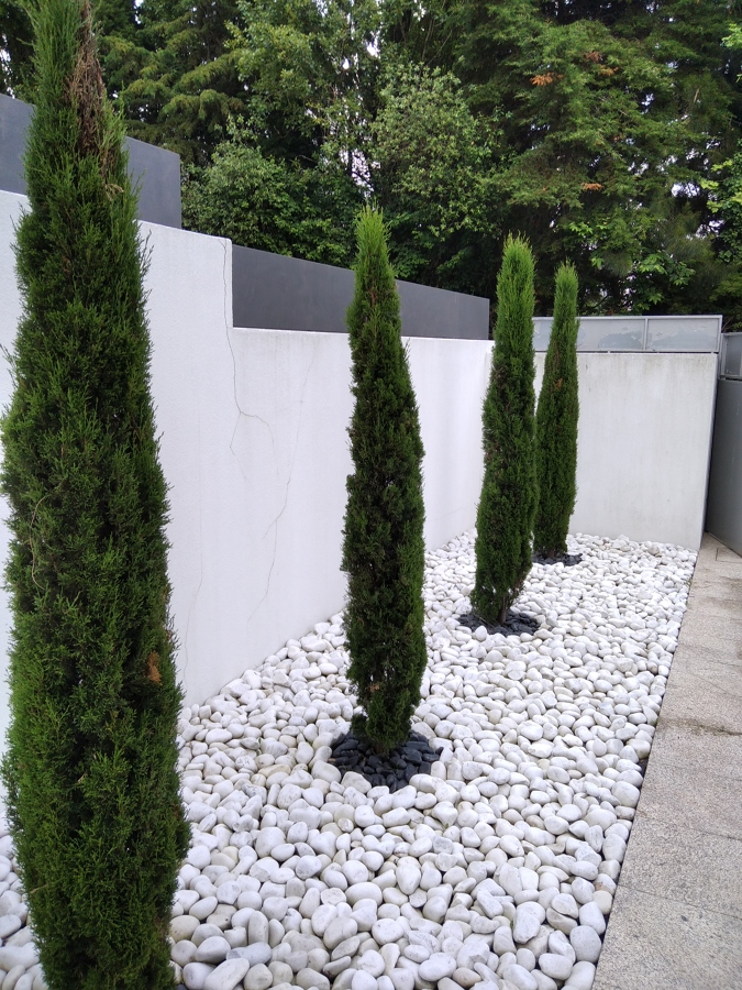Efeito da Aplicação de seixo branco  com ciprestes