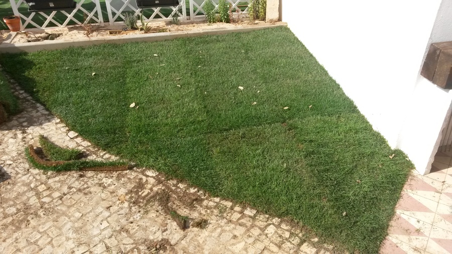 Construção de mini relvado e manutenção