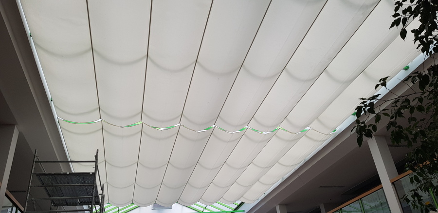 Toldo