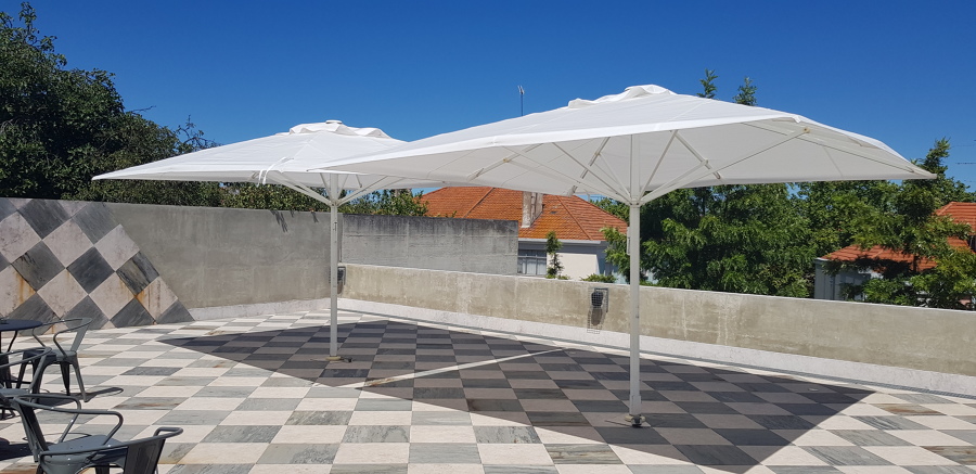 Toldo