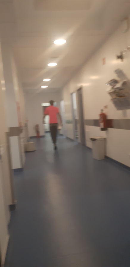 Limpeza clinica veterinária