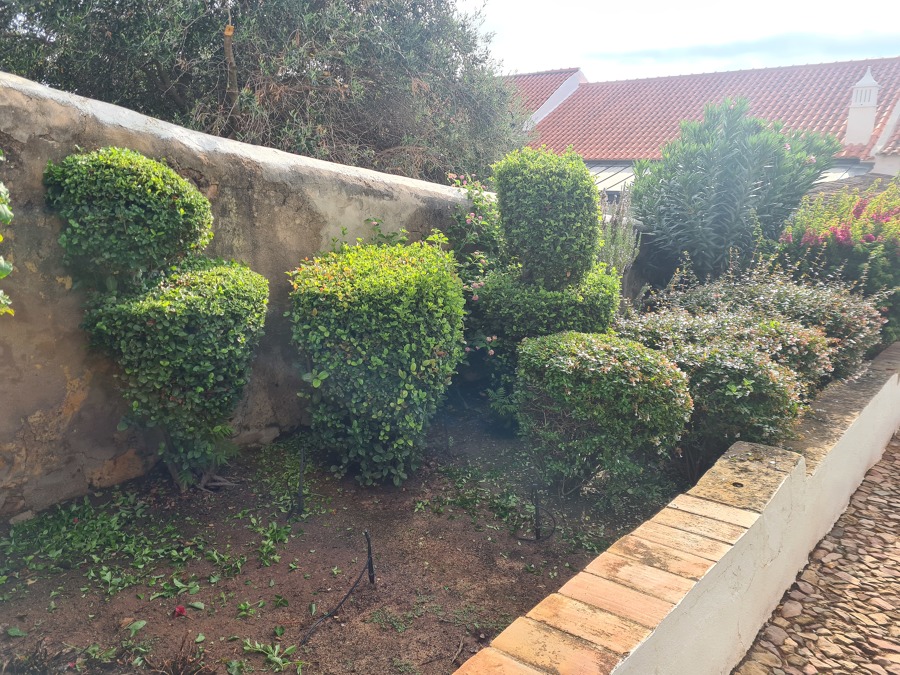Manutenção do jardim