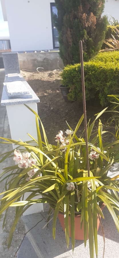 Jardim feito na Póvoa de Varzim