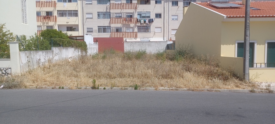 Limpeza de Terreno