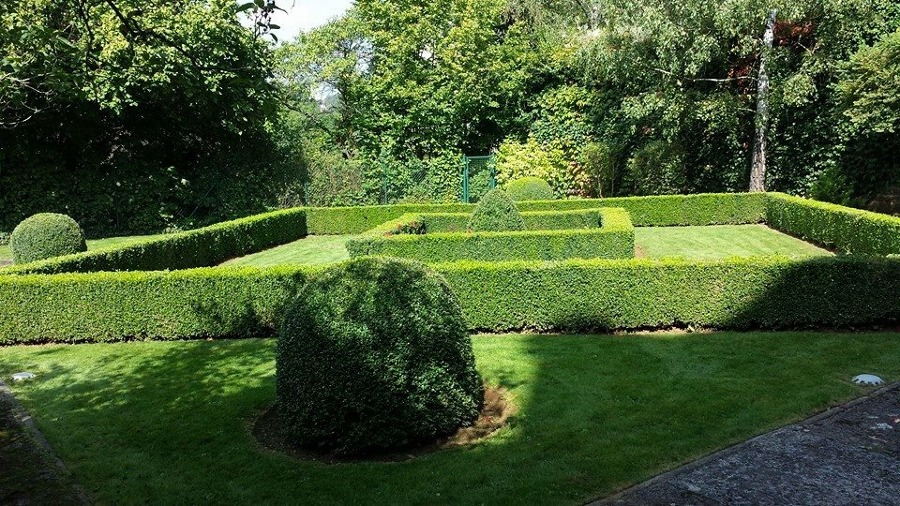 Construção e Manutenção de Jardim