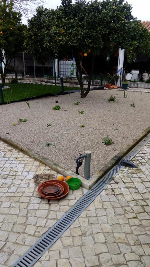Manutenção jardim