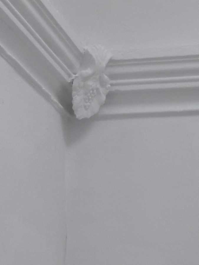 Gesso Decorativo