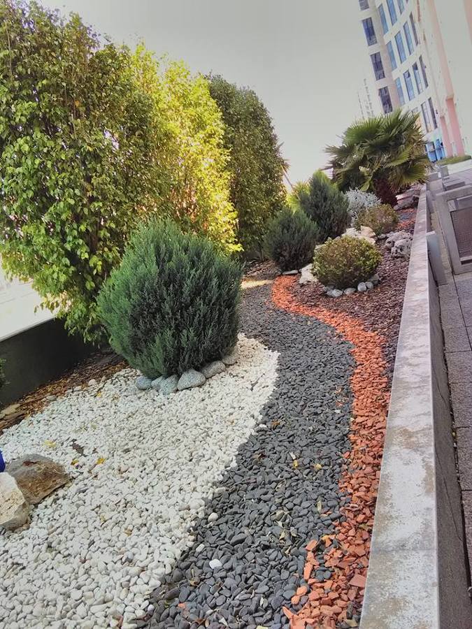 Manutenção de jardim