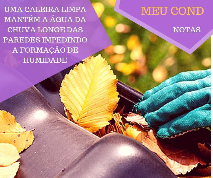 Limpeza e manutenção