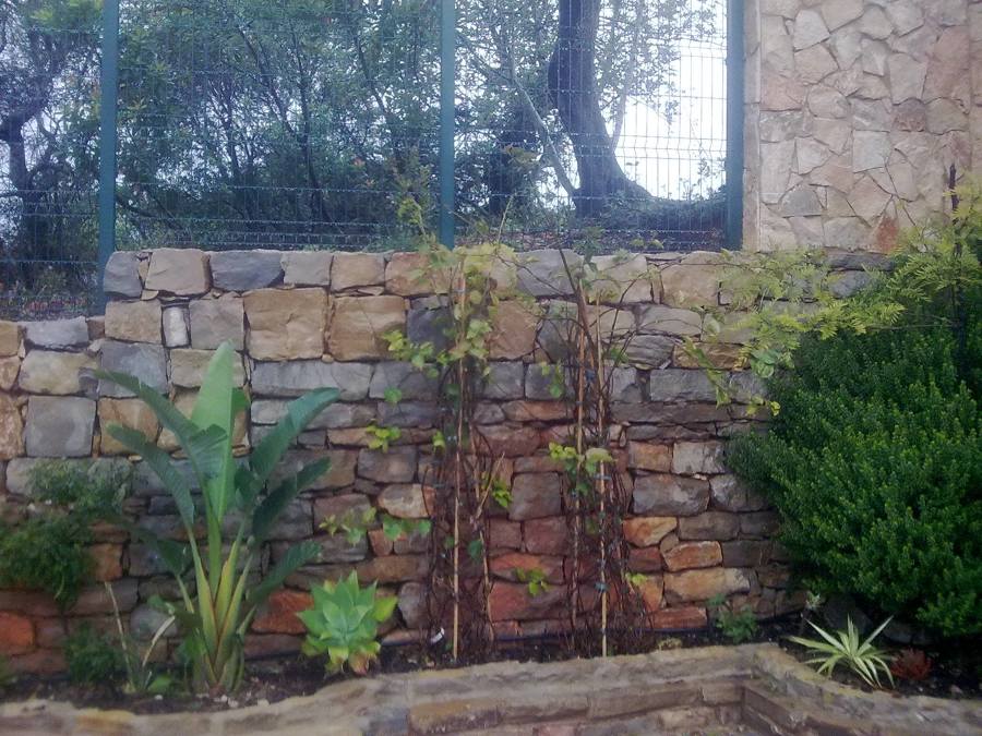 Construção Muro