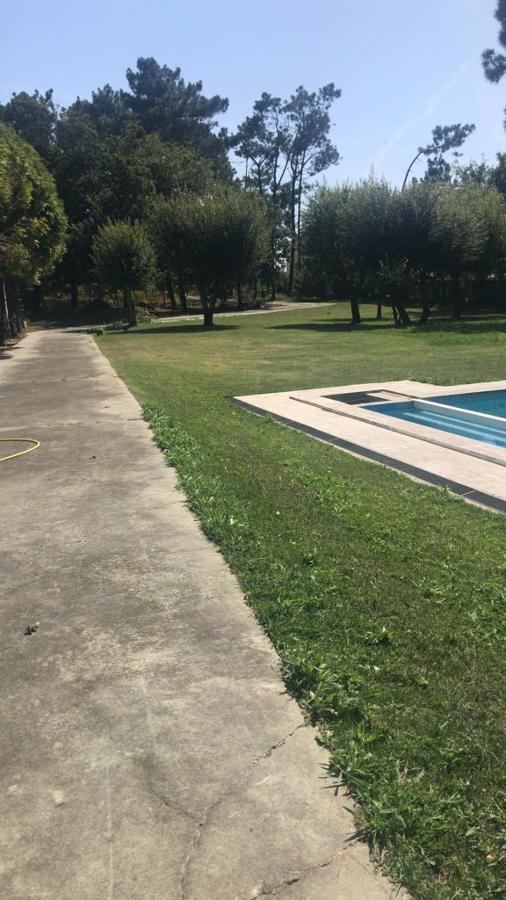 Bosque Mediterrâneo com jardim relvado