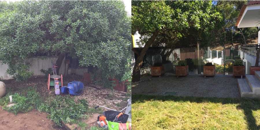 Recuperação de jardim
