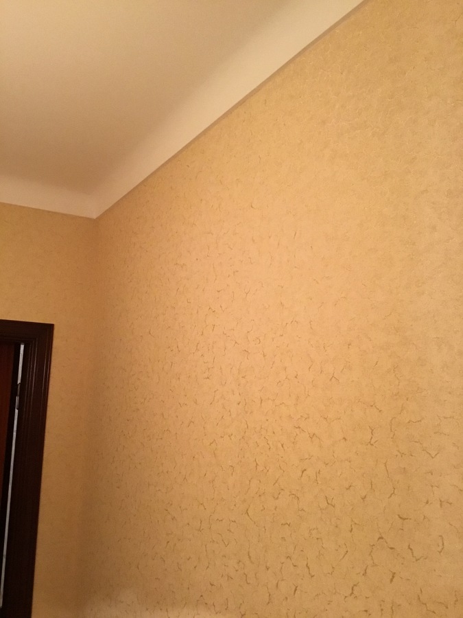 Colocação papel de perede