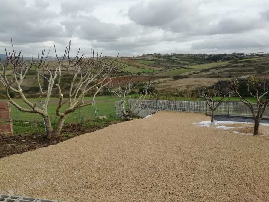 Limpeza e manutenção jardins