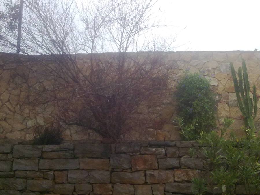 Construção Muro