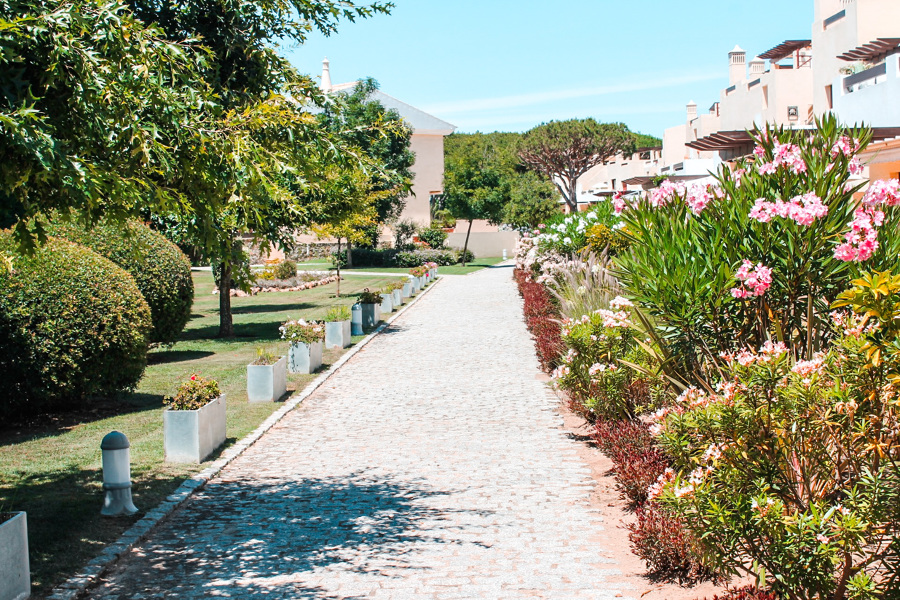 Jardim moderno
