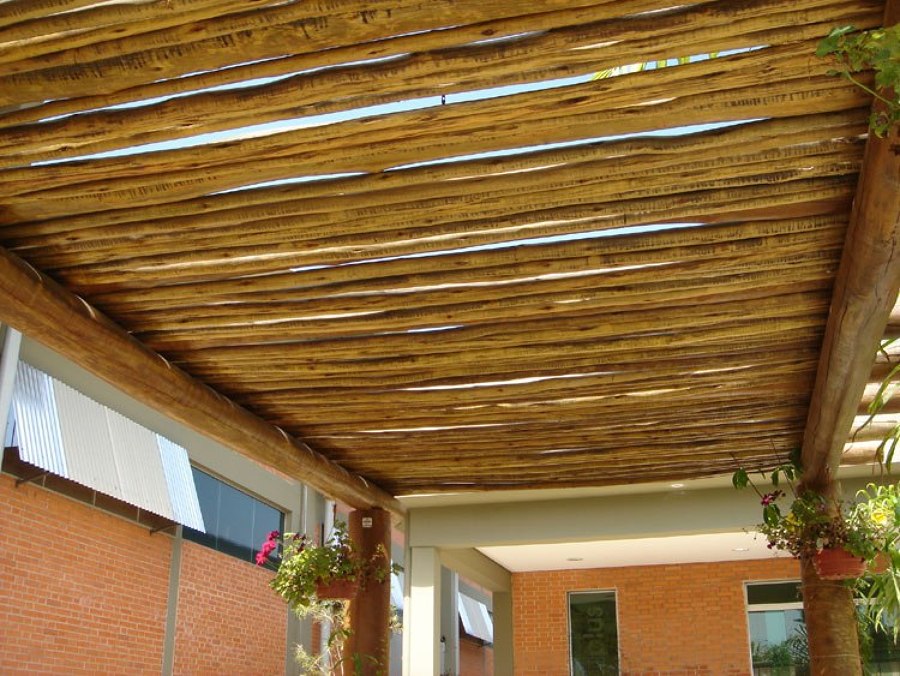 pergola