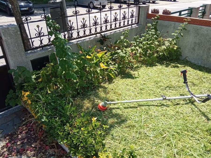 Jardim