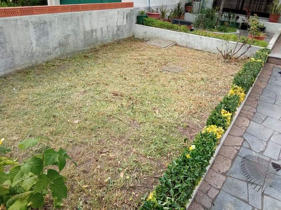 Pequeno jardim