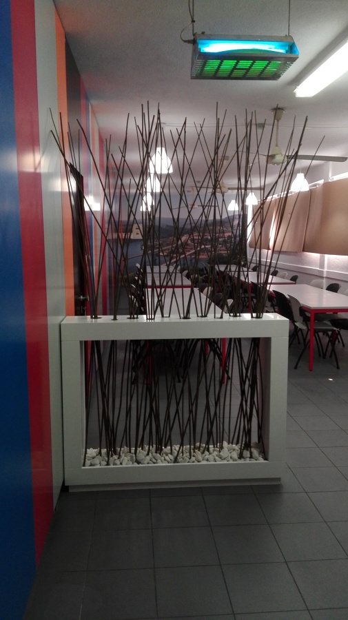 Remodelação da Cantina da SONAE de Castelo de Paiva