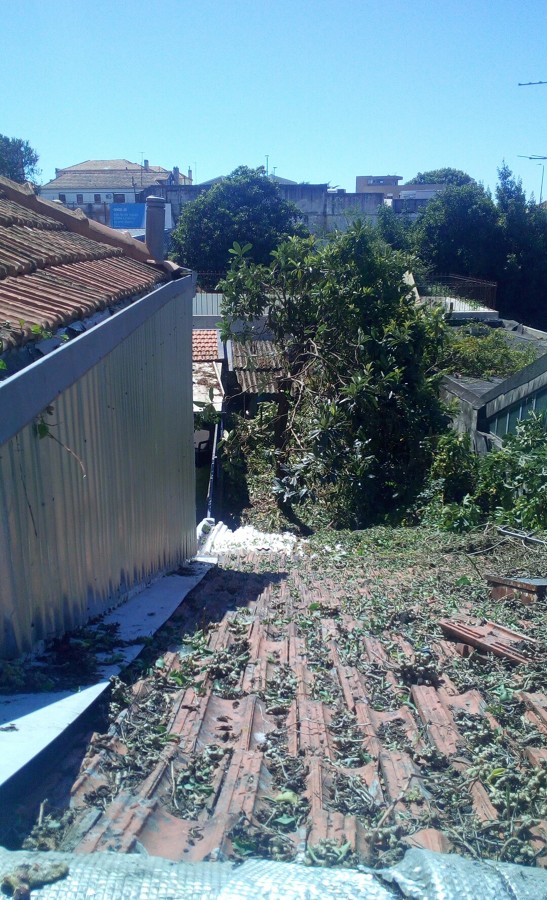 Trabalho feito