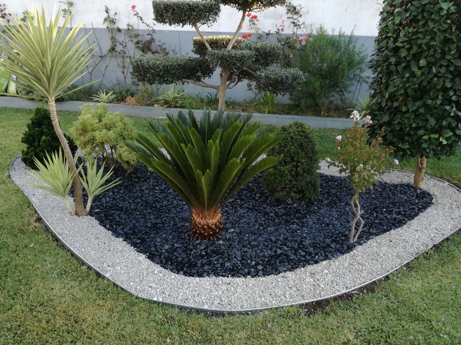 Criação de canteiro com diversas plantas