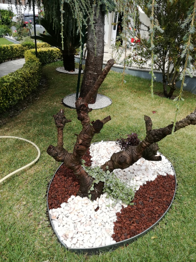 Decoração de jardim com diversas tonalidades