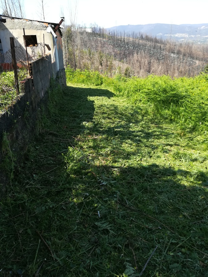 Limpeza de Terreno
