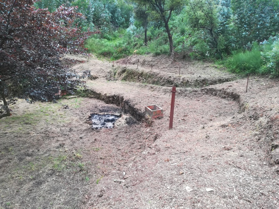 Limpeza de Terreno