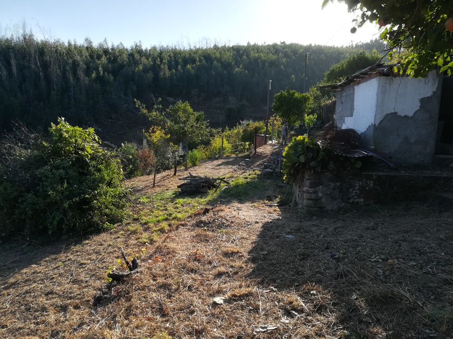 Limpeza de Terreno