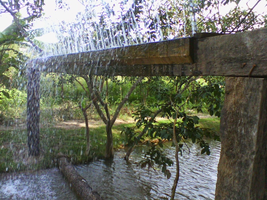 Cascata de Jardim
