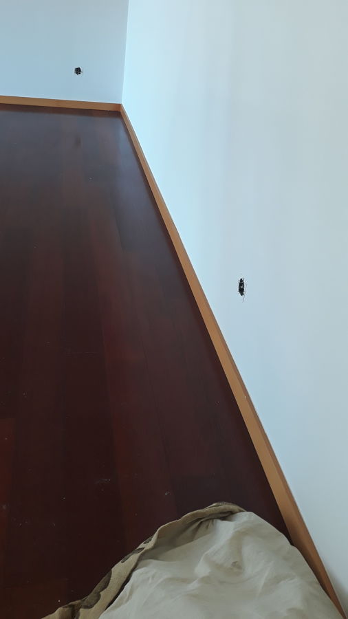 Excelente acabamento das nossas pinturas.