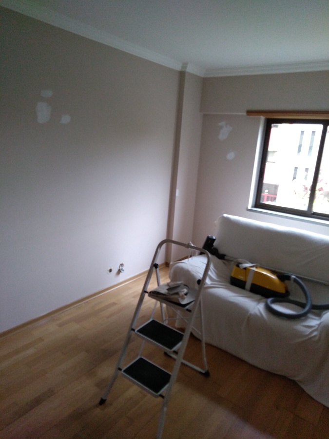 Pintura particular