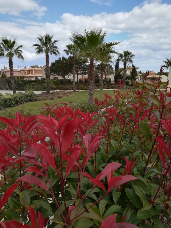 Deluxe gardens