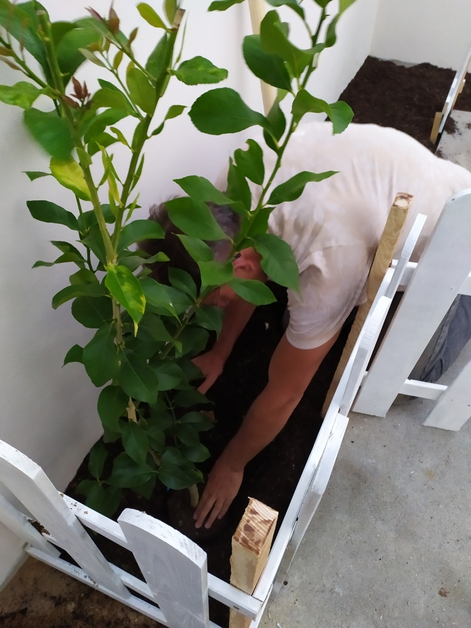 Manutenção de jardins e hortas