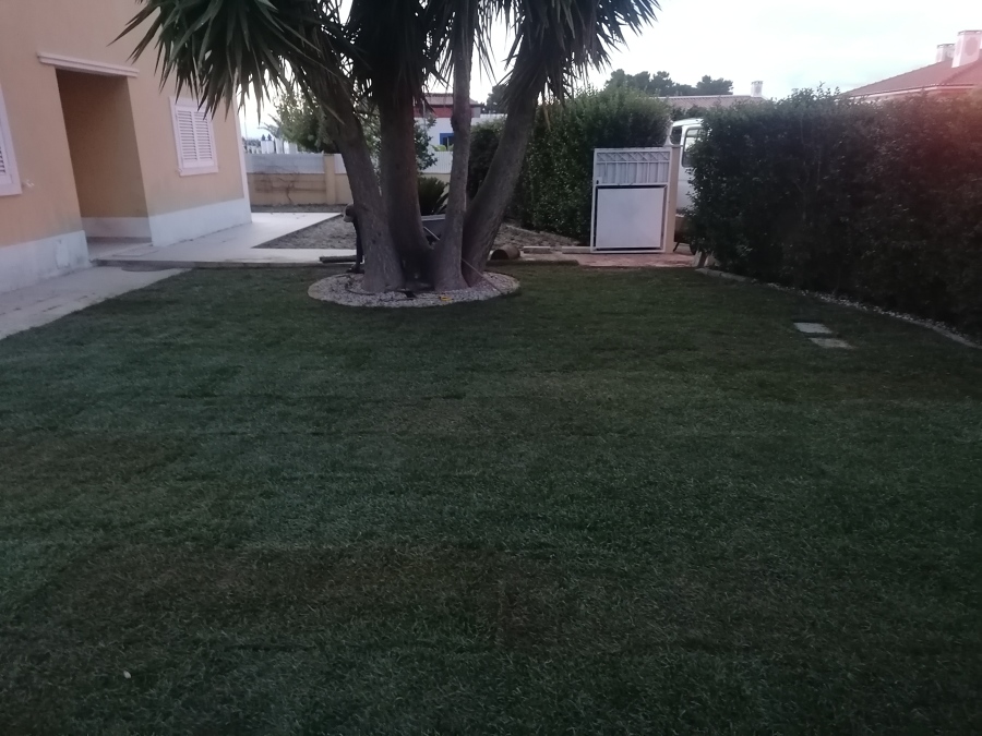 Jardim