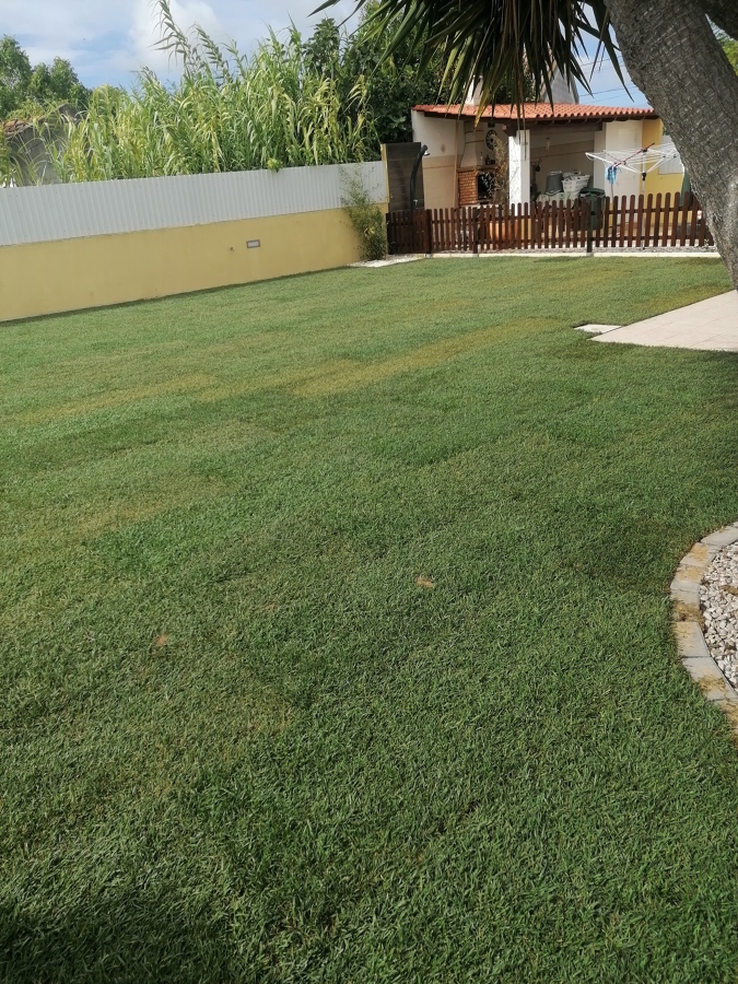 Jardim