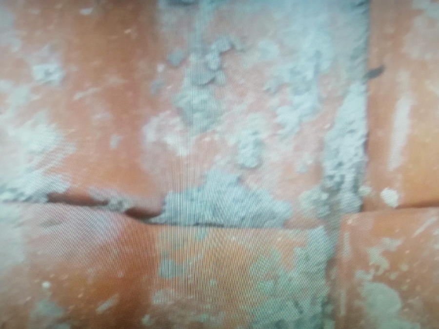 Limpeza de telhas